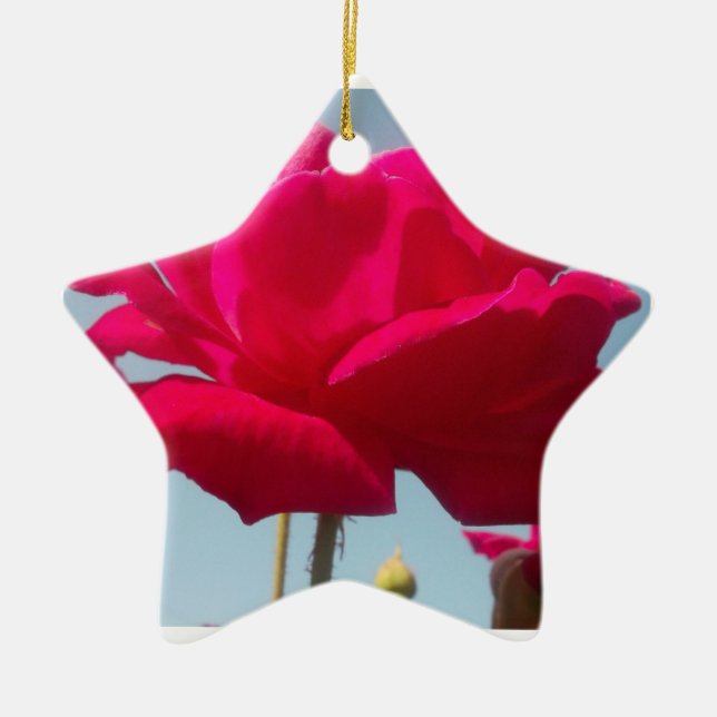 Adorno De Cerámica Hermoso Rosa Celestial Rojo Contra Azul (Frente)