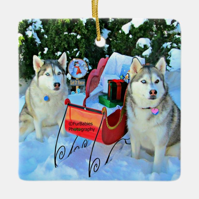 Adorno De Cerámica Hermosos Huskies Siberianos (Anverso)
