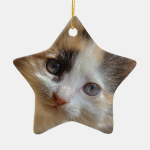 Adorno De Cerámica Heterochromia Calico Kitten