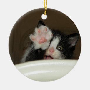 Adorno De Cerámica "Hi" Kitten Ornament