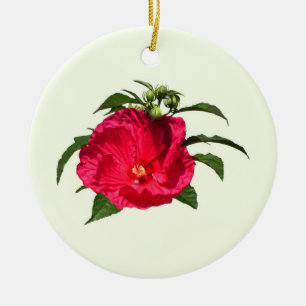 Adorno De Cerámica Hibiscus rosado oscuro