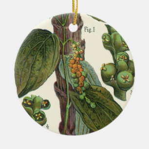 Adorno De Cerámica Hierbas Especias Comida Antigua, Planta de Pimient