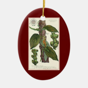 Adorno De Cerámica Hierbas y especias de alimentos antiguos, planta d