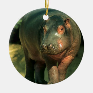 Adorno De Cerámica Hipopotamo de enano (Choeropsis liberiensis)