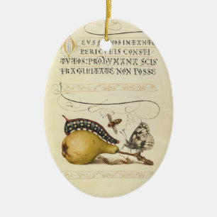 Adorno De Cerámica Hoefnagel Vintage Pera & Insectos 1500s Renacimien