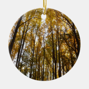 Adorno De Cerámica Hojas de otoño en la mañana Naturaleza de Maryland