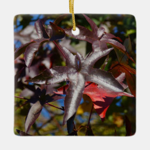 Adorno De Cerámica Hojas de Sweetgum en Otoño