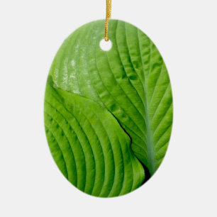 Adorno De Cerámica Hojas tropicales verdes