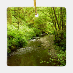 Adorno De Cerámica Hombre perdido en el parque nacional Redwood