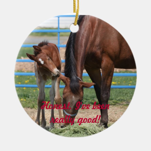 Adorno De Cerámica ¡Honesto he sido bueno! (Frente)