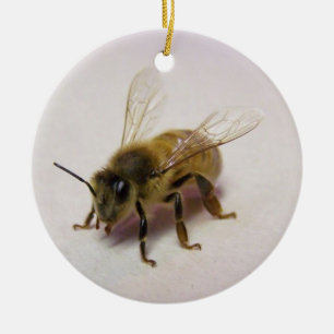 Adorno De Cerámica Honey Bee Ornament