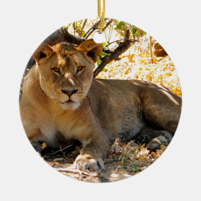 Adorno De Cerámica Hora de Siesta (Frente)