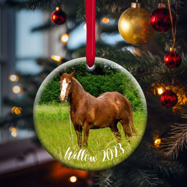 Adorno De Cerámica Horse Lover Memorial Ornament Gift (Subido por el creador)
