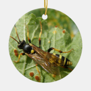 Adorno De Cerámica Hoverfly Personalizado Cumpleaños