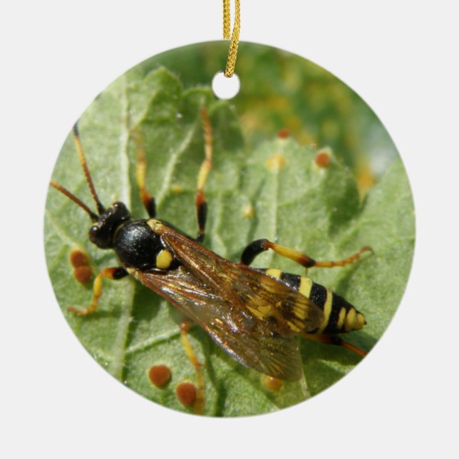 Adorno De Cerámica Hoverfly Personalizado Cumpleaños (Frente)