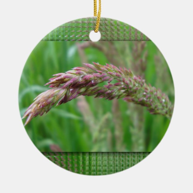 Adorno De Cerámica How the Grass Grows Ornament (Frente)