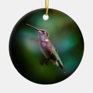 Adorno De Cerámica Hummingbird - Fotografía original