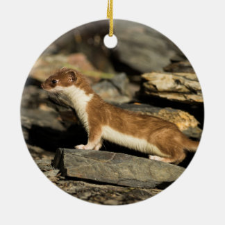 Adorno De Cerámica Hunting Weasel