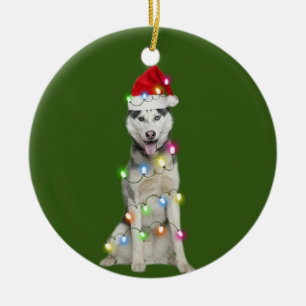 Adorno De Cerámica husky con Navidades Scafés Santa Hat Gift