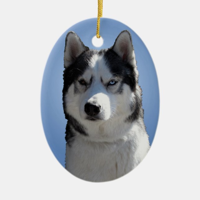 Adorno De Cerámica Husky Ornament Malamute Keepsake Dog Gifts (Frente)