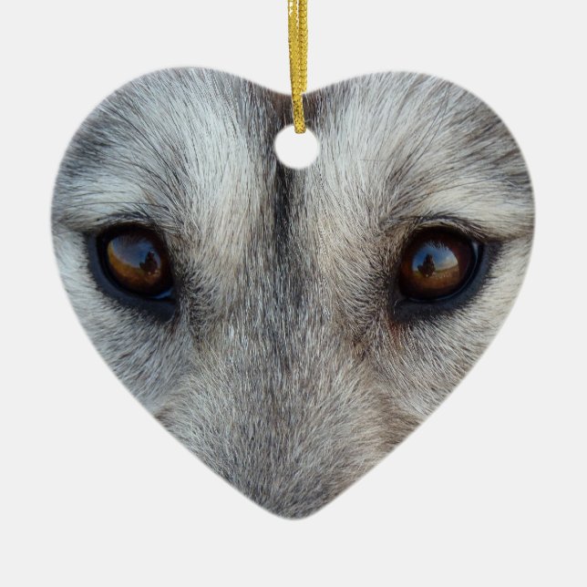 Adorno De Cerámica Husky Ornament Wolf Pup Keepsake Dog (Frente)