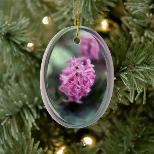 Adorno De Cerámica Hyacinth en primavera