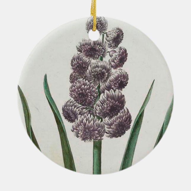 Adorno De Cerámica Hyacinth Flower (por Johann Michael Seligmann) (Atrás)