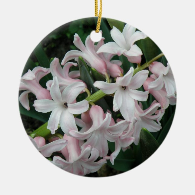 Adorno De Cerámica Hyacinths Personalizado Cumpleaños (Frente)