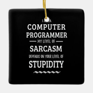Adorno De Cerámica I Am A Computer Programmer