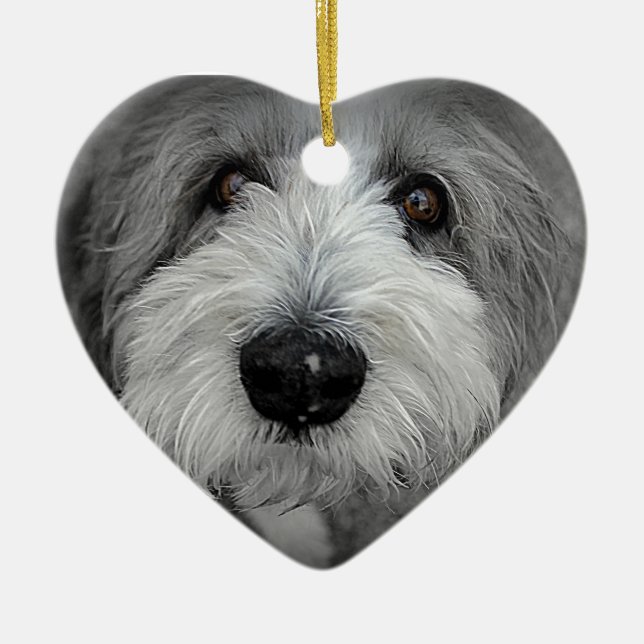 Adorno De Cerámica ¿I le conoce? (Frente)