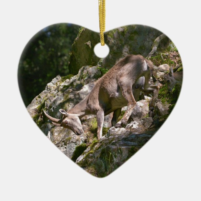 Adorno De Cerámica Ibex alpino en la montaña (Frente)