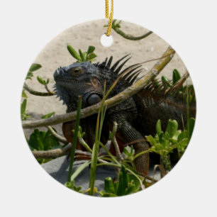 Adorno De Cerámica Iguana