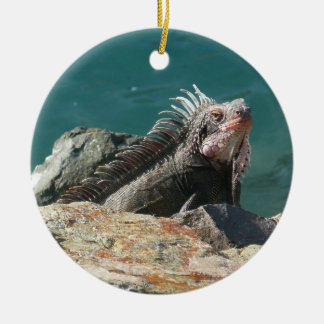 Adorno De Cerámica Iguana en St. Thomas