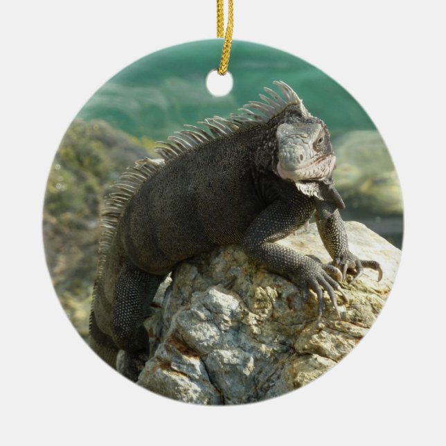 Adorno De Cerámica Iguana sobre las rocas en Santo Tomás (Frente)