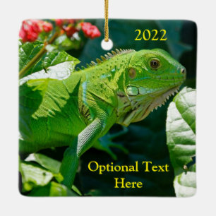 Adorno De Cerámica Iguana verde personalizada