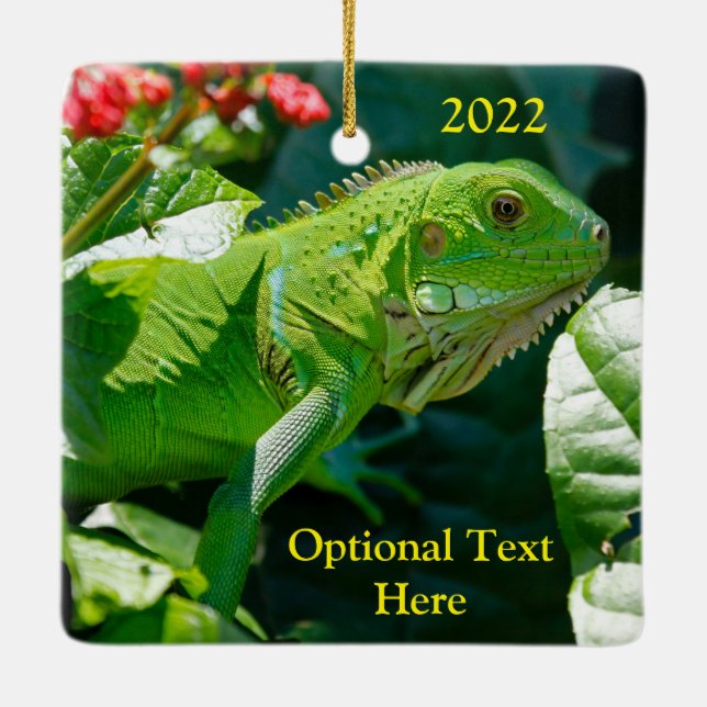 Adorno De Cerámica Iguana verde personalizada (Reverso)