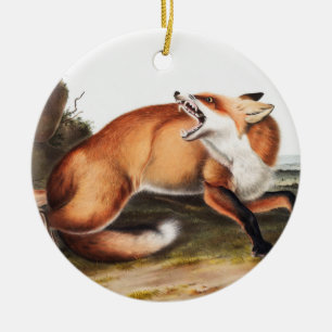 Adorno De Cerámica Ilustracion americano de Fox Roja (Vulpes Fulvus)