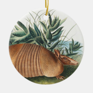 Adorno De Cerámica Ilustracion Armadillo (Dasypus Peba) de nueve band