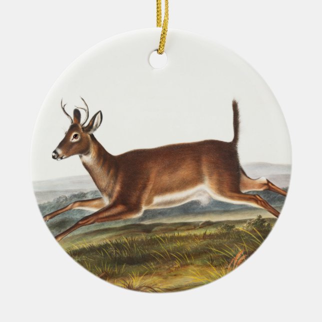 Adorno De Cerámica Ilustracion de Cervus leucurus de cola larga (Frente)