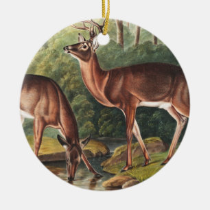 Adorno De Cerámica Ilustracion de Cervus Virginianus