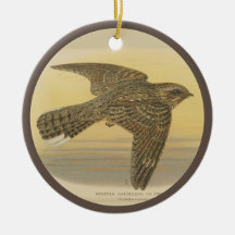 Ilustracion de época de la pescadería europea