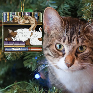 Adorno De Cerámica Ilustración de estantería de libros con gatos durm
