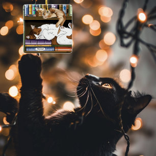 Adorno De Cerámica Ilustración de estantería de libros de gatos durmi