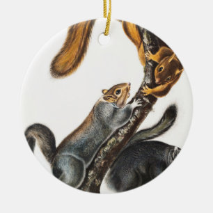 Adorno De Cerámica Ilustracion de la ardilla del gato (Sciurus cinere