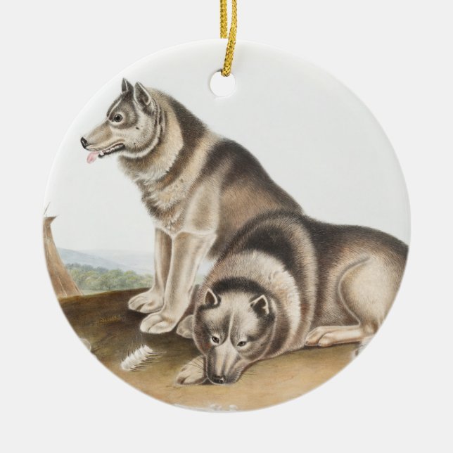 Adorno De Cerámica Ilustracion de Perro Esquimaux (Canis familiaris) (Frente)
