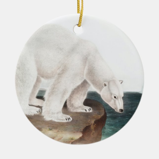 Adorno De Cerámica Ilustracion del oso polar (Ursus maritimus) (Frente)