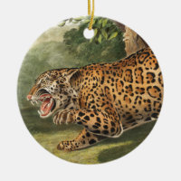Ilustracion Jaguar (Felis onca)