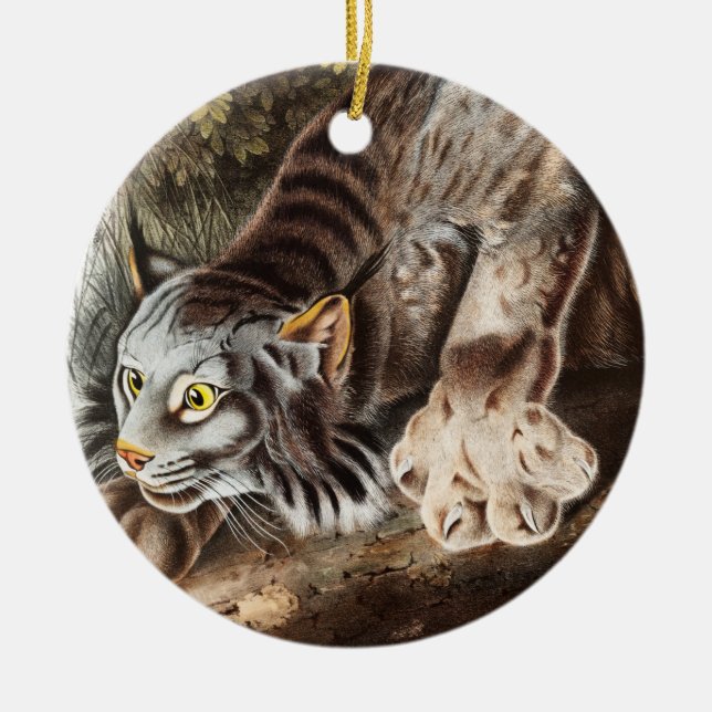 Adorno De Cerámica Ilustracion Lynx (Lynx Canadensis) en Canadá (Frente)