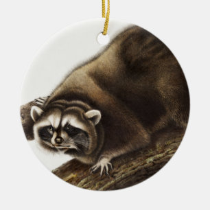 Adorno De Cerámica Ilustracion Raccoon (Procyon lotor)
