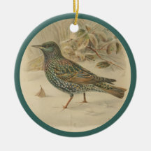 Ilustracion vintage del estrellamiento